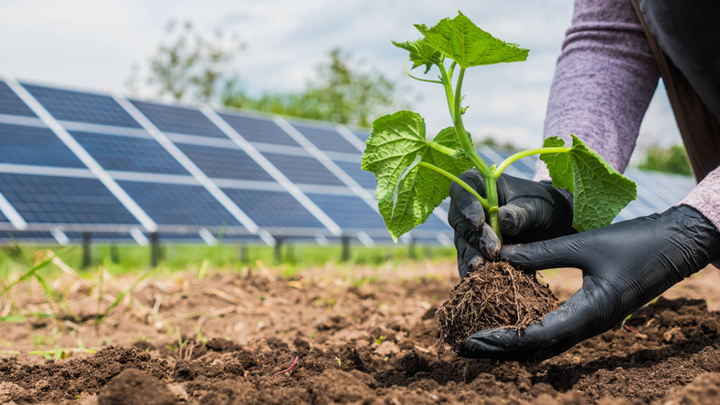 Energia solar rural: reduza custos e torne sua propriedade sustentável