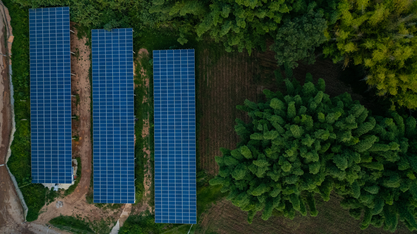 Energia limpa: conheça os tipos e os benefícios dessas fontes renováveis